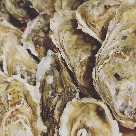 Tetto Delle Marche - Ristorante Dei Conti